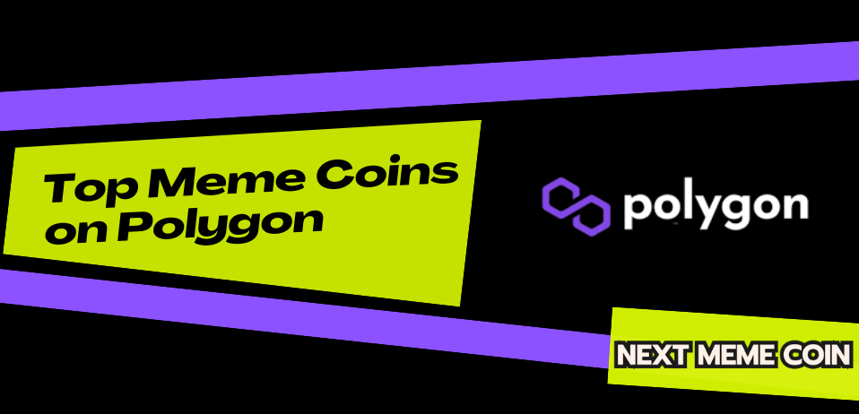 Top Meme Coins on Polygon