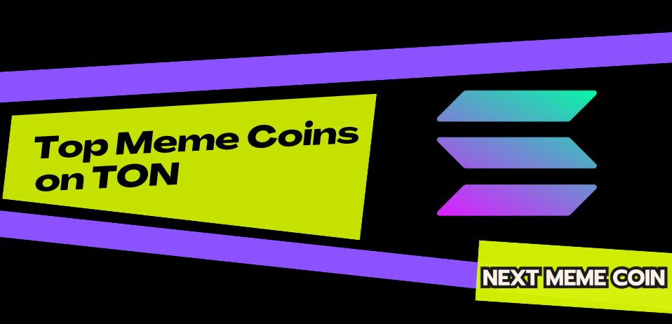 Top Meme Coins on Solana