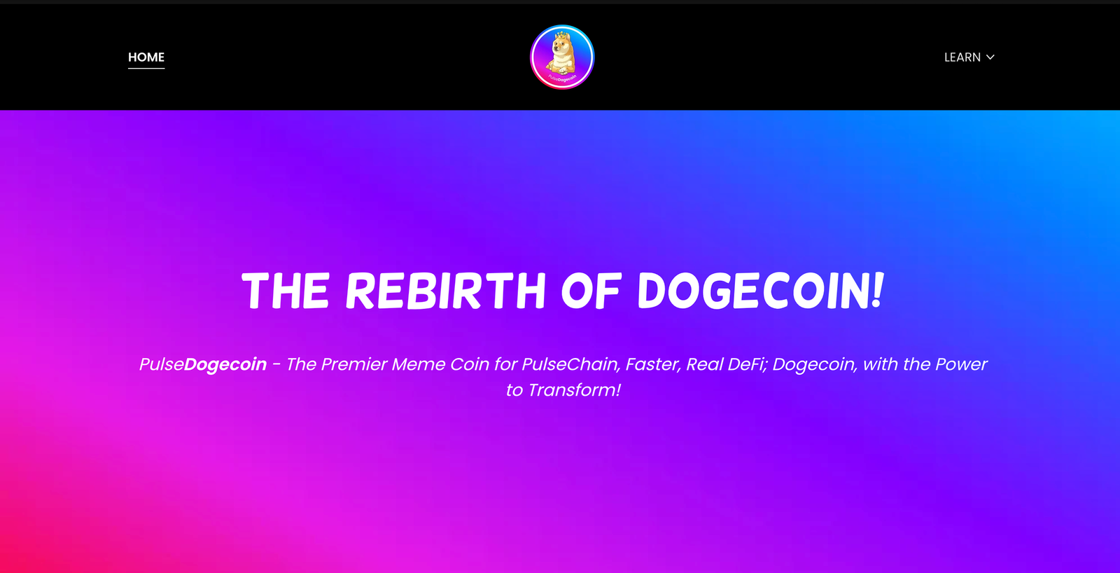 pluse doge coin website